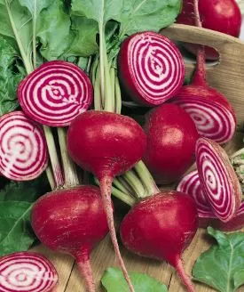 Beets - Chioggia Guardsmark Organic (Seeds)