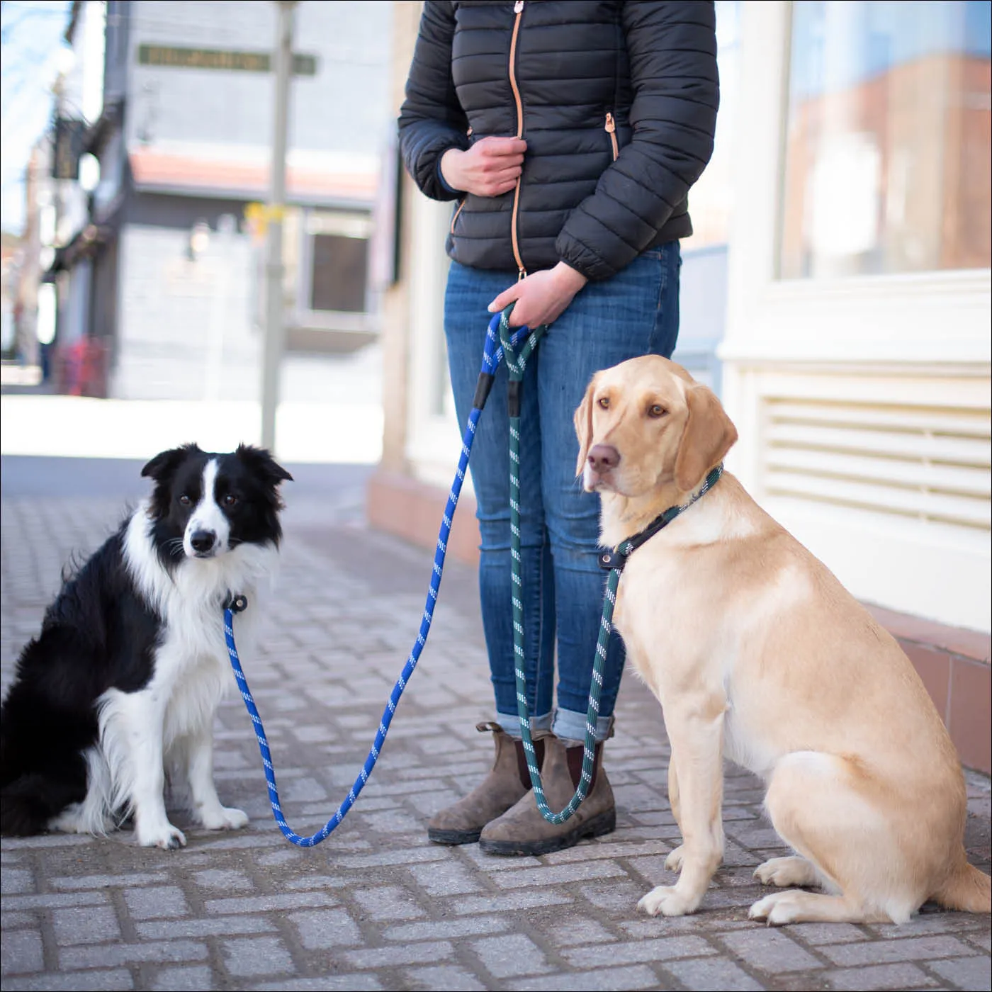 Camino Rope Slip Leash