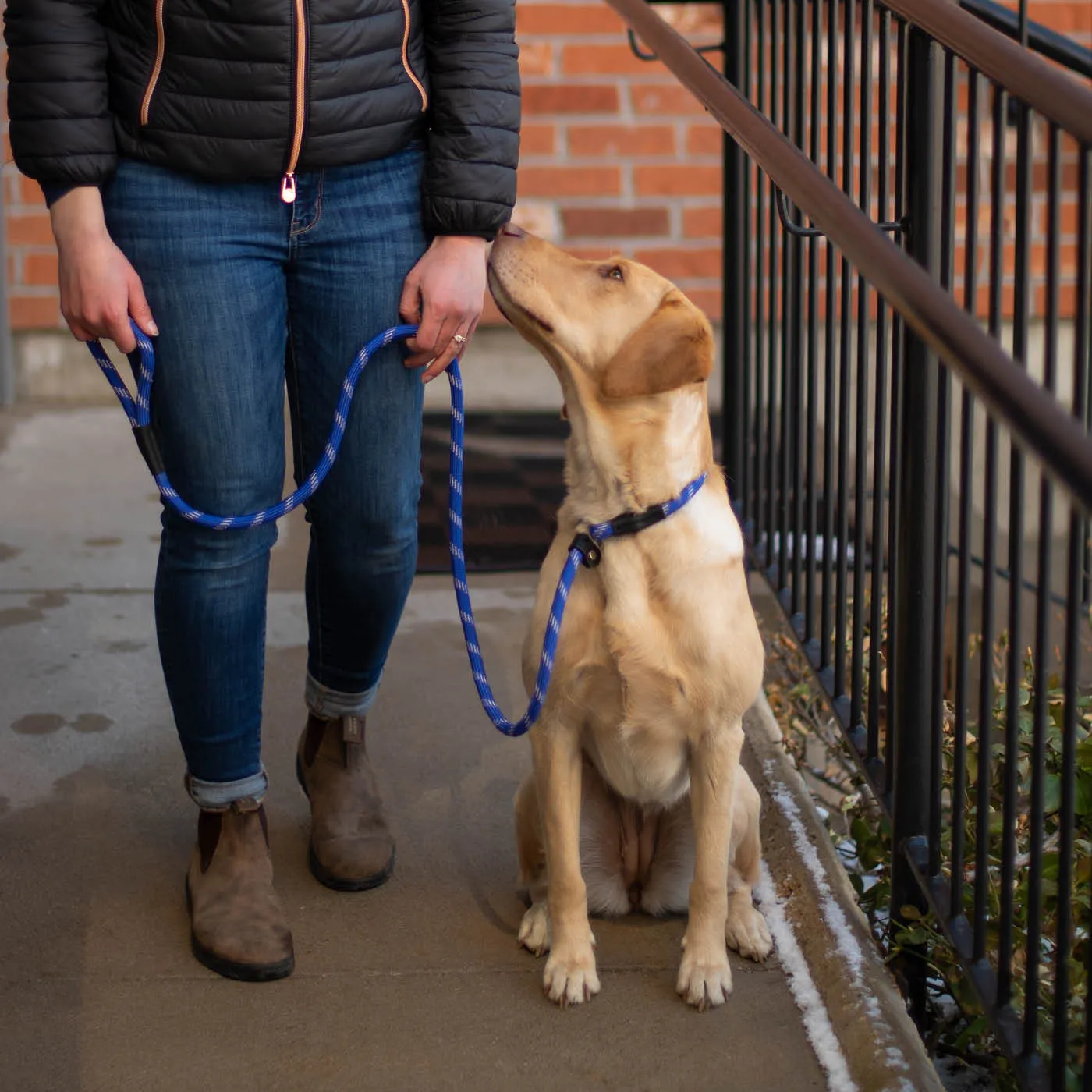 Camino Rope Slip Leash