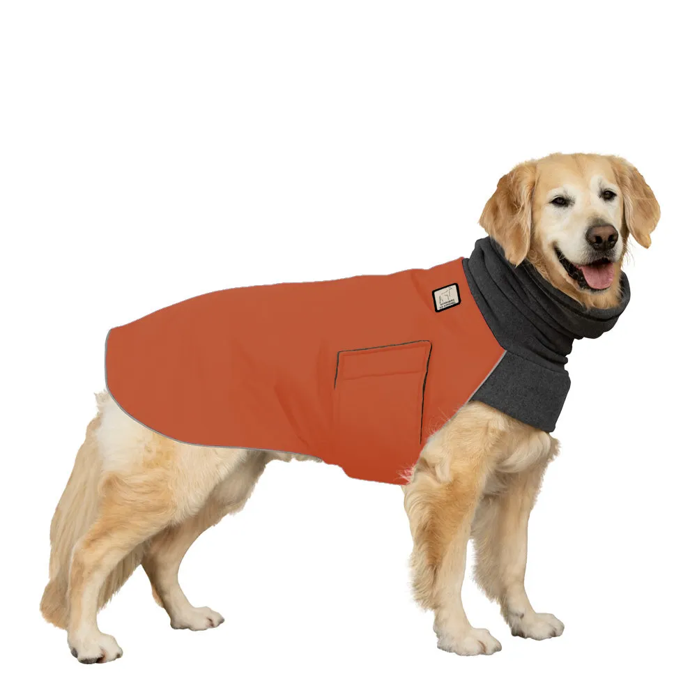 Golden Retriever Winter Coat