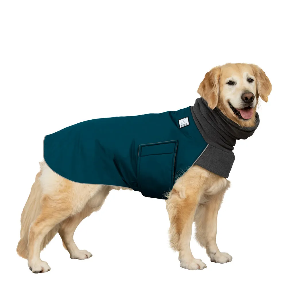 Golden Retriever Winter Coat