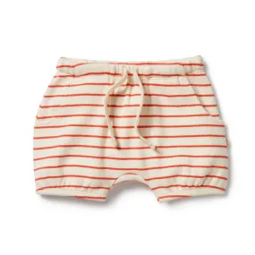 Petit Rouge Organic Bloomer Short