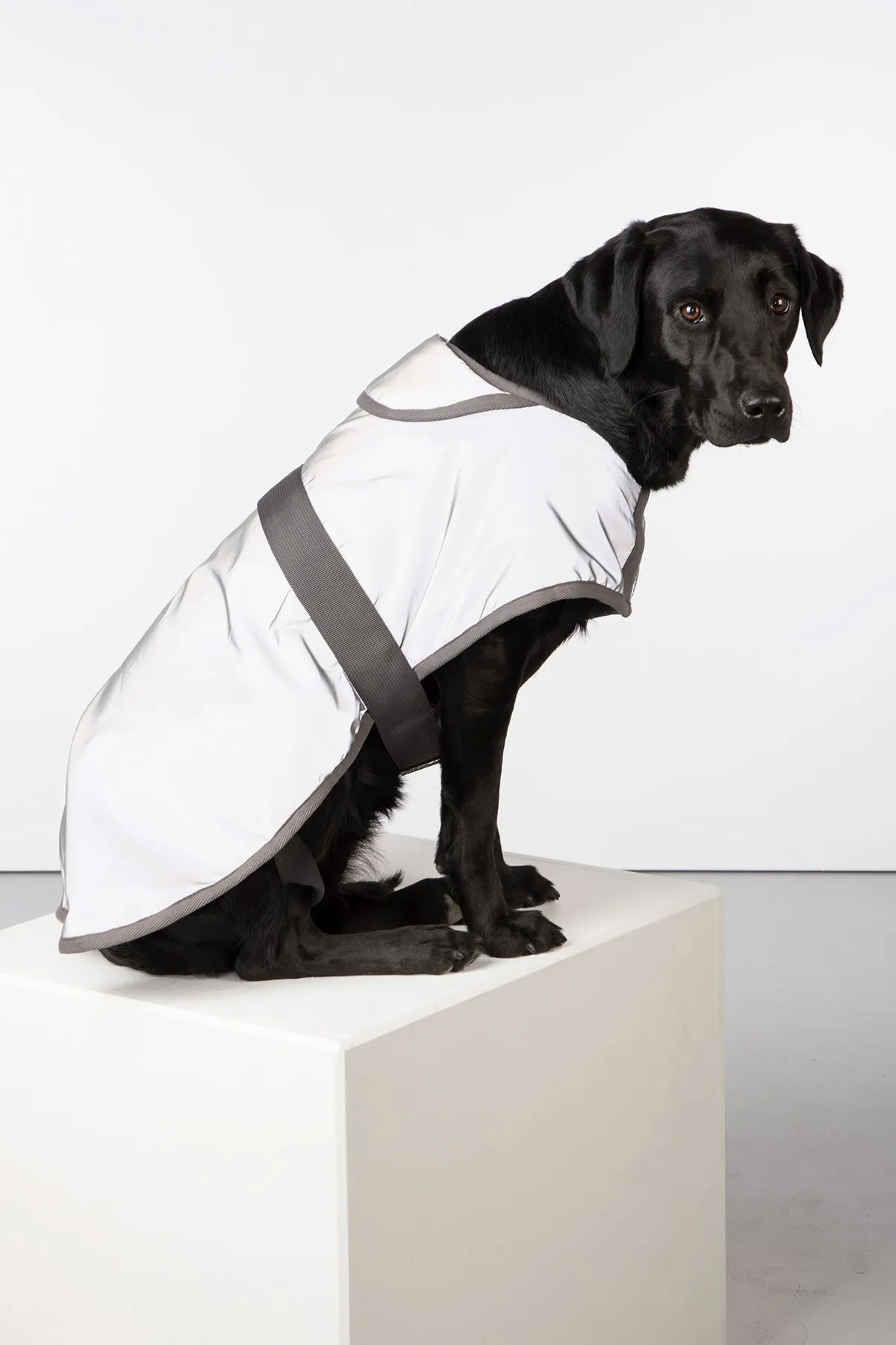 Reflective Dog Coat - Muston