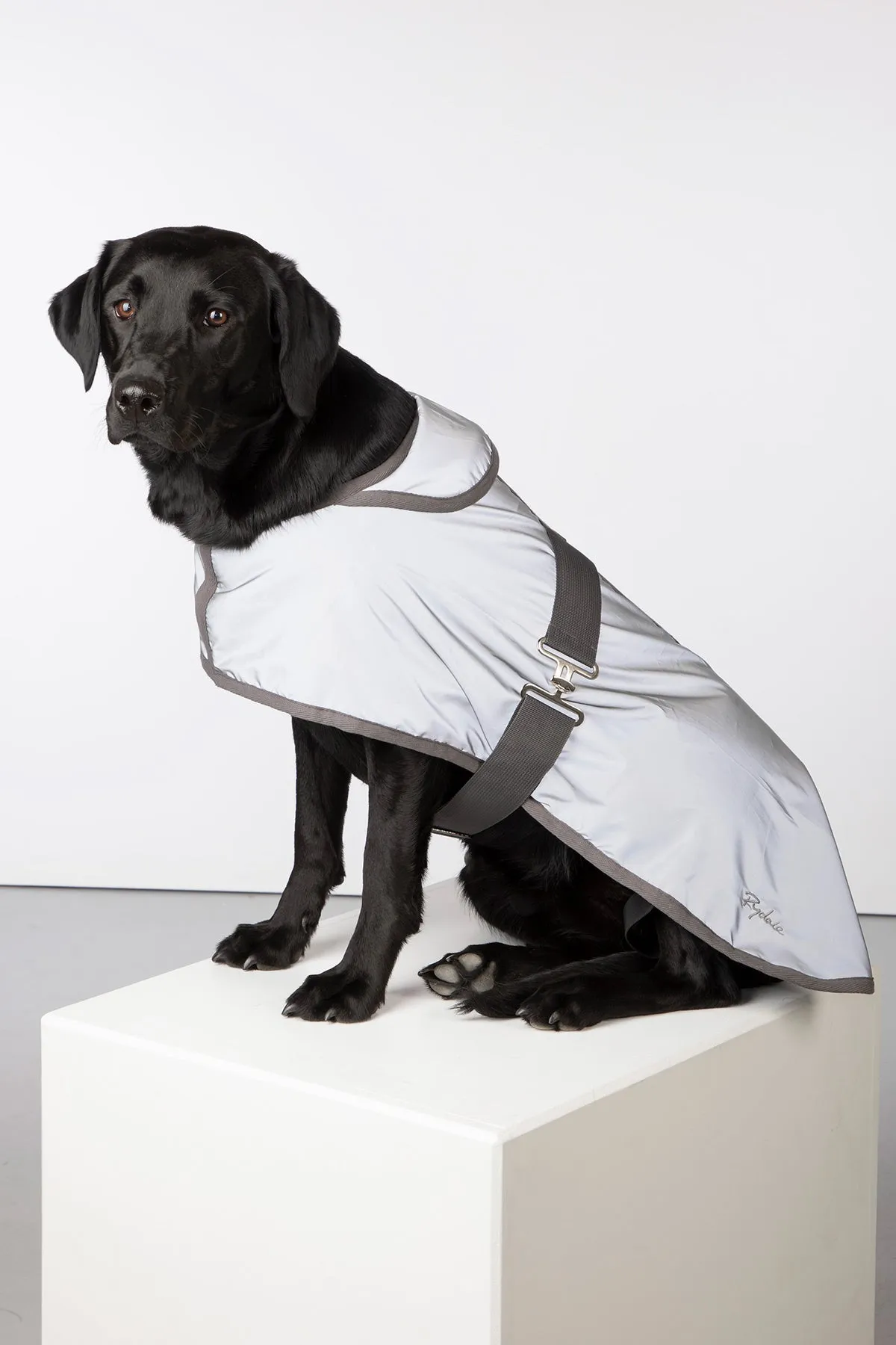 Reflective Dog Coat - Muston